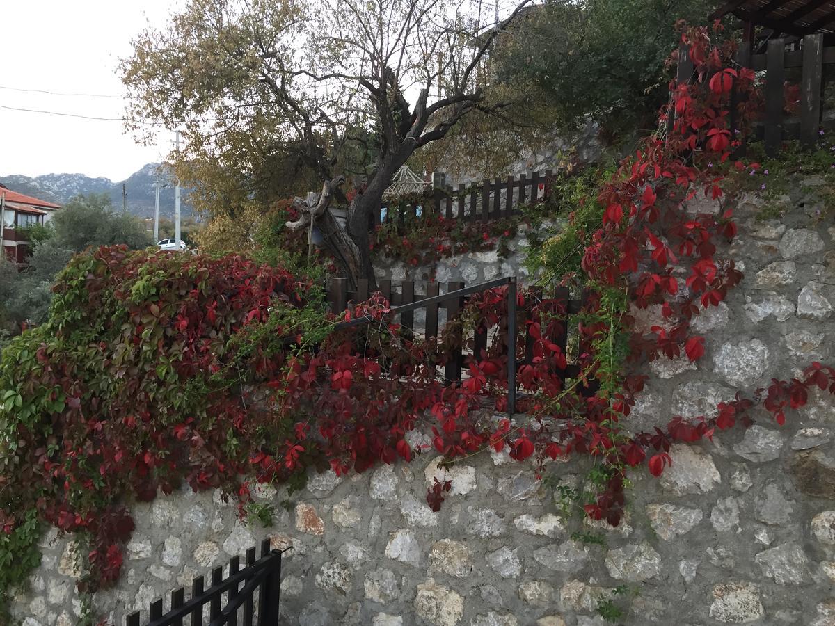 Selimiye Houses 외부 사진